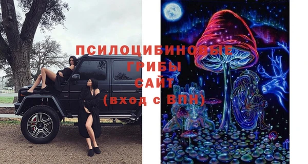 а пвп мука Арсеньев