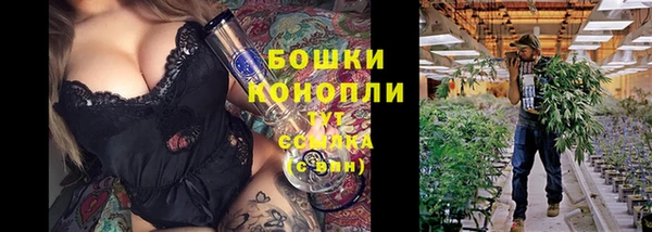 дурь Аркадак