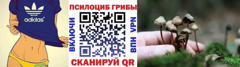 Псилоцибиновые грибы мухоморы Гатчина